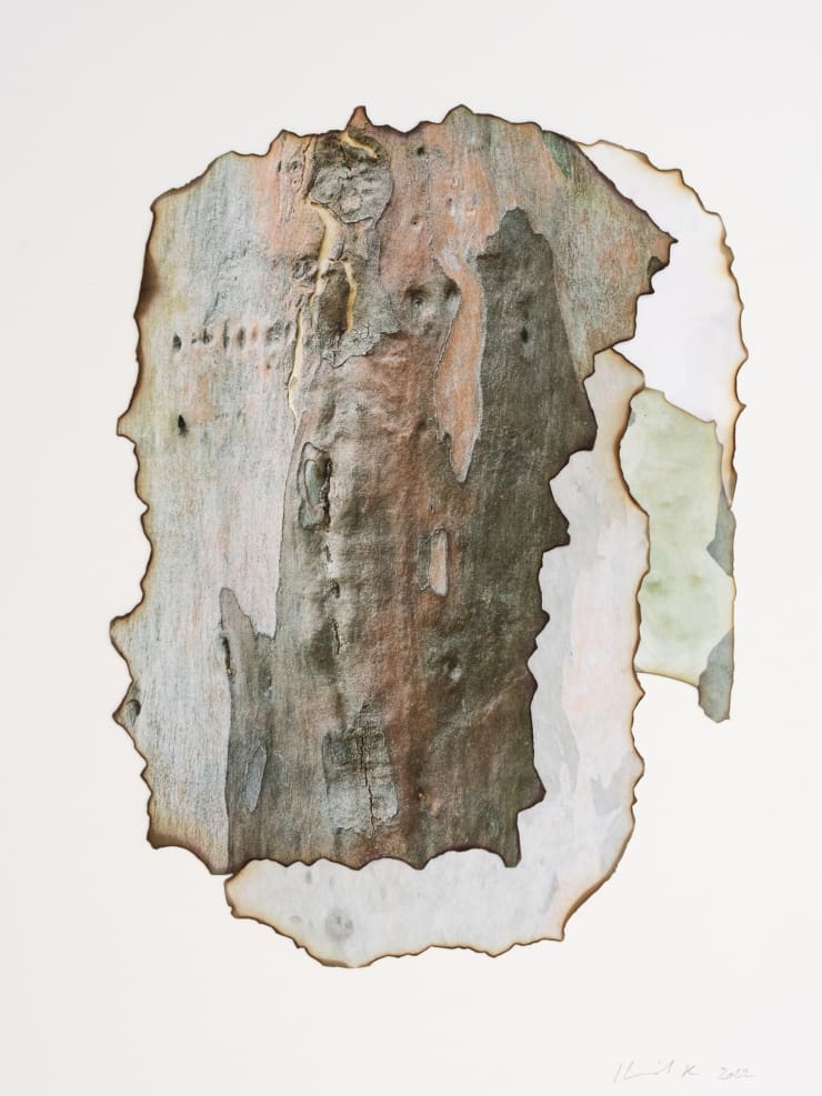 Morvarid K, This Too Shall Pass Temps 3.18, 2022