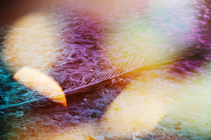 Sanne De Wilde, Untitled 1, Chapter 3