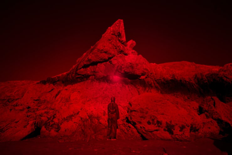 Alice Pallot, Pic solaire, from the series Algues Maudites - Red Bloom, 2024