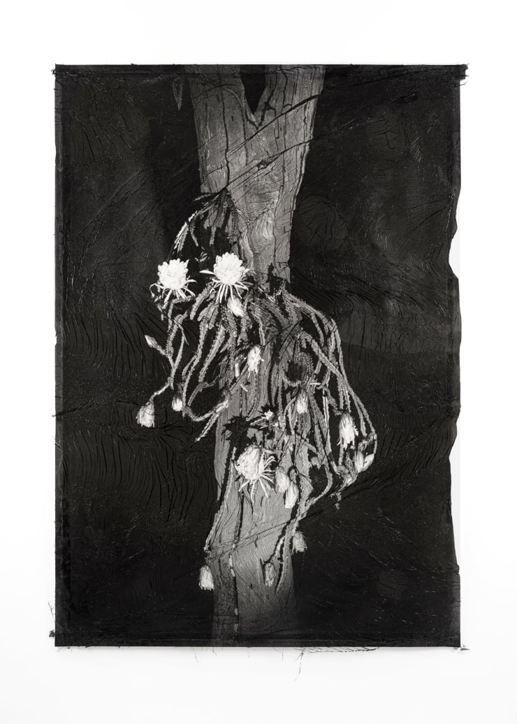 Sylvie Bonnot - Berceau de Moïse (Reine de la nuit), 2025