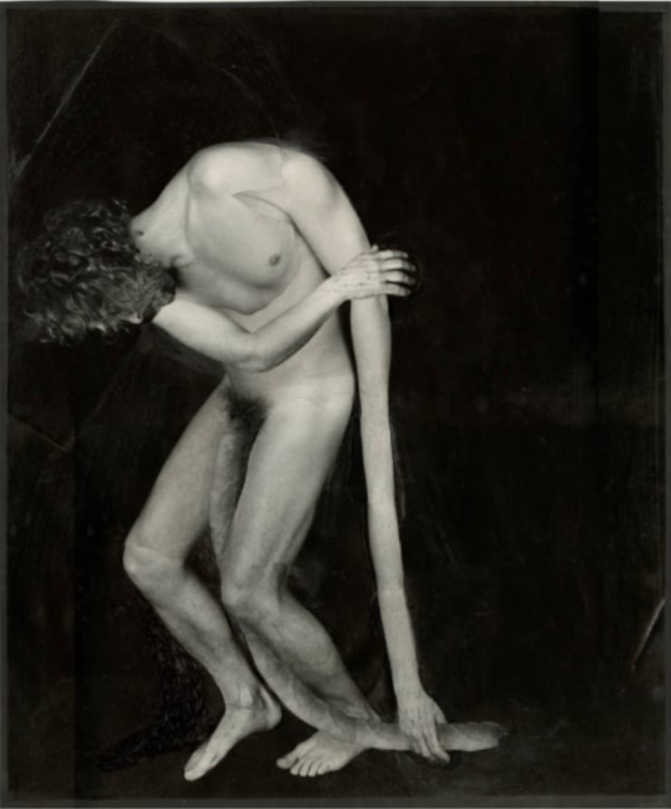 Sergiy Solonsky, Untitled, from the Bestiary series, ca. 1995