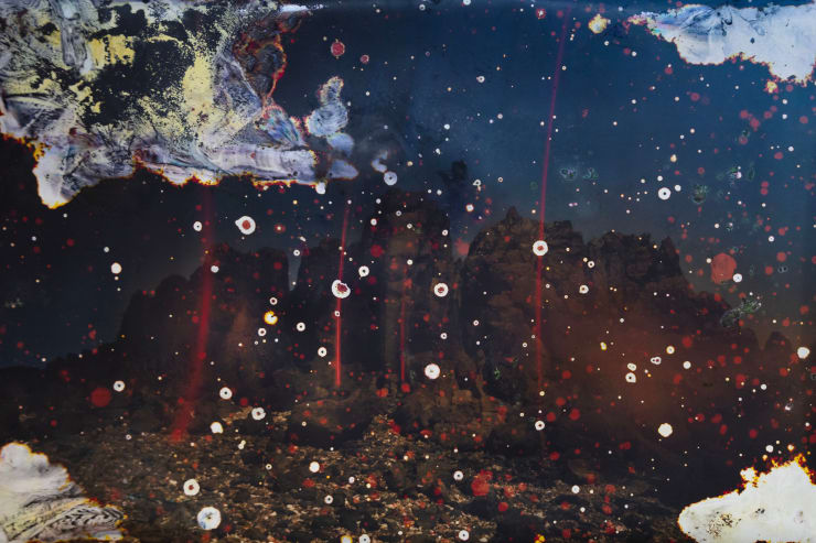 Alice Pallot, Alteration, from the series Algues Maudites - Red Bloom, 2024