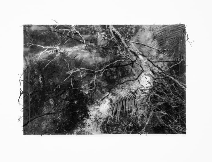 Sylvie Bonnot, From the series Corps de brume, 2024