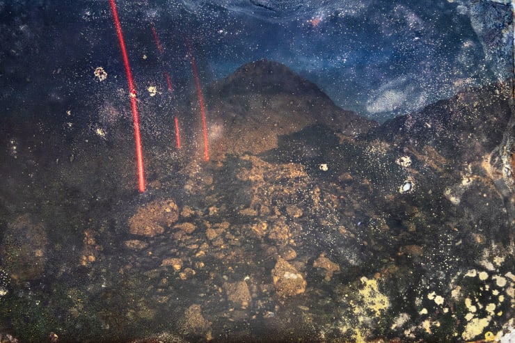 Alice Pallot, Alteration, from the series Algues Maudites - Red Bloom, 2024