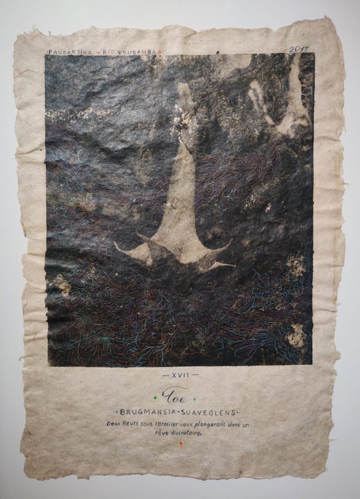 Pepe Atocha, Toe, 2024