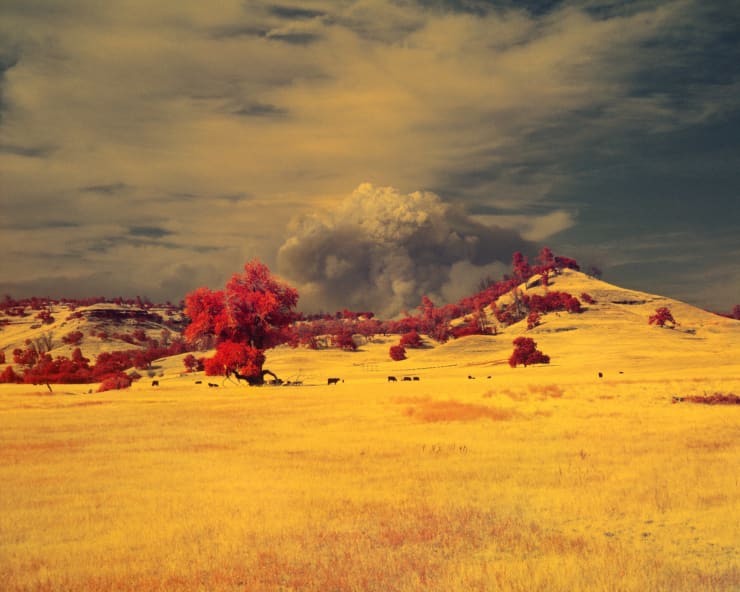 Maxime Riché Dixie Fire, from the series Paradise, 2021 Archival pigment print on Hahnemühle PhotoRag Baryta 315g 70 x 87,5 cm Framed Edition of 3 plus 2 artist's proofs