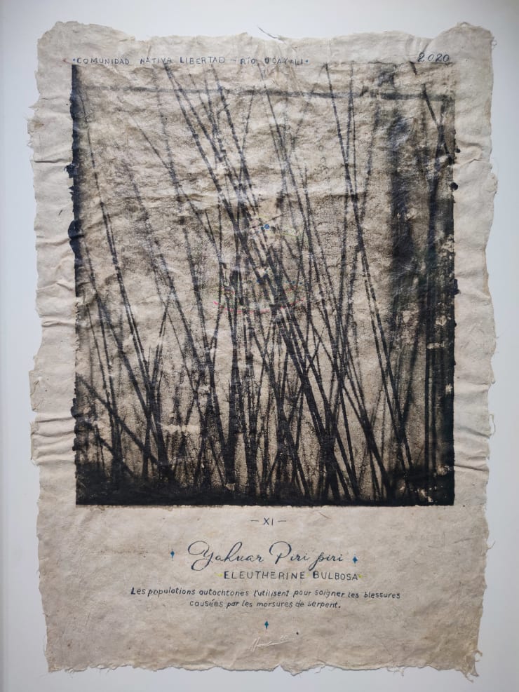 Pepe Atocha, Piri Piri, 2024