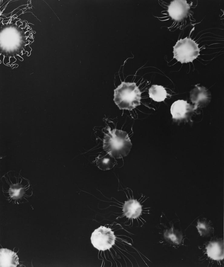 Aliki Christoforou, Perspectives submergées 3, 2024