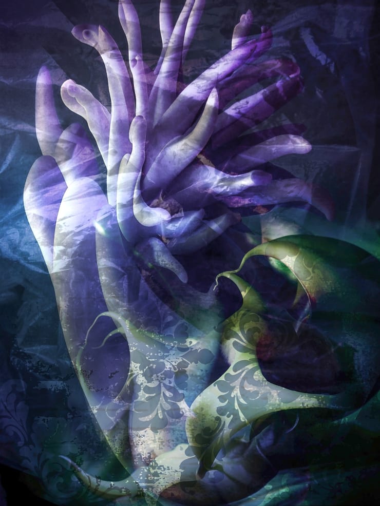 Patricia Jacomella - Silfio 4, 2024