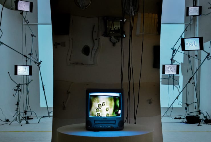 Karyn Nakamura, s_Lara Hughes Install 2 , 2025