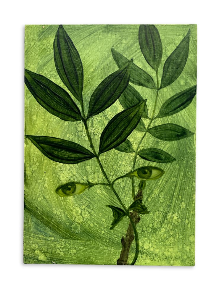 Xanthe Burdett, Ash Bough, 2025