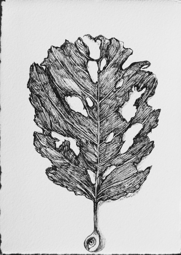 My Leaves Are Not Tied to Earth (The Trees Gave Me A Thousand Homes) 2, 2024