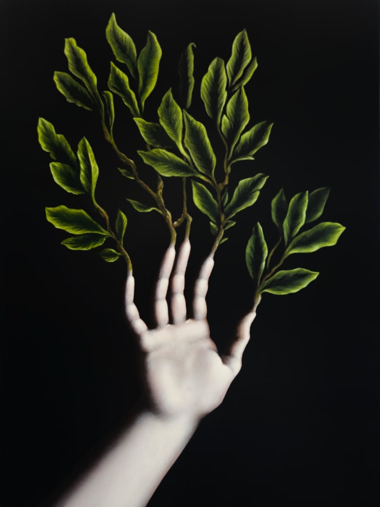 Samo Shalaby, Growing Pains, 2025