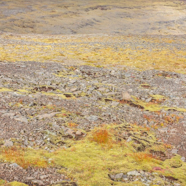 Didier Goupy, ODYSSÉE 551, 2025