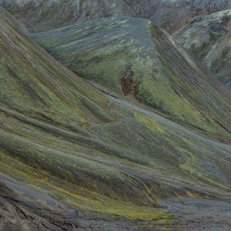 Didier Goupy, ODYSSÉE 536, 2025