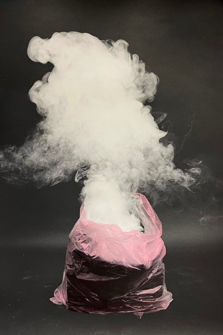 Lilja Birgisdóttir & Ingibjörg Birgisdóttir, Eigur / Possessions 1, 2024