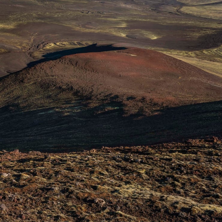 Didier Goupy, ODYSSÉE 524, 2025