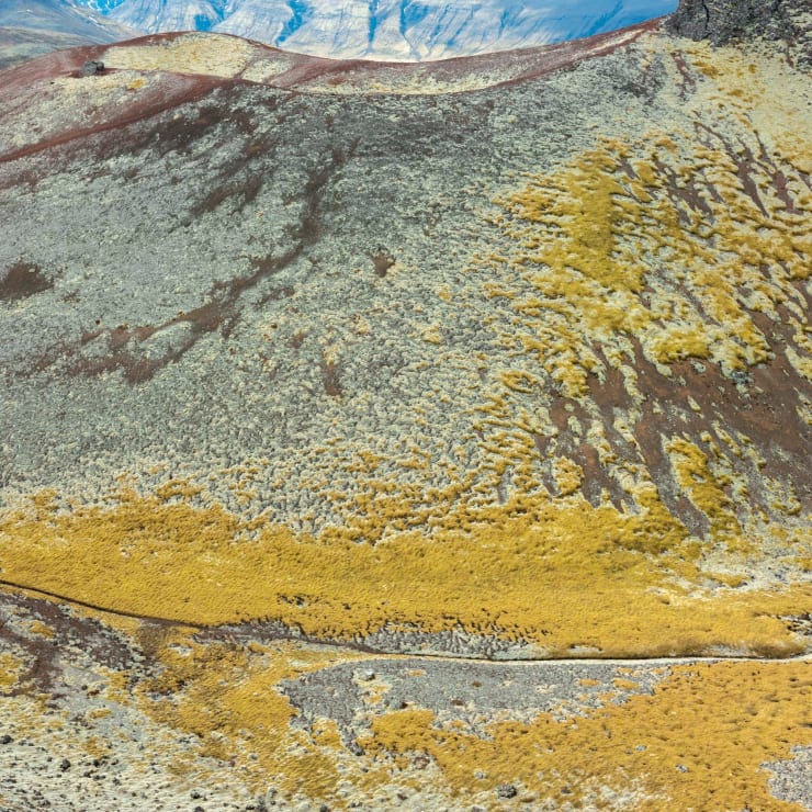 Didier Goupy, ODYSSÉE 471, 2025