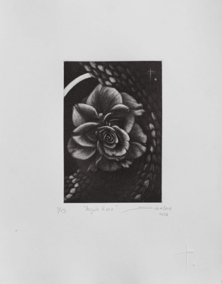 Jorge de la Cruz, Anguis Rosa, 2020