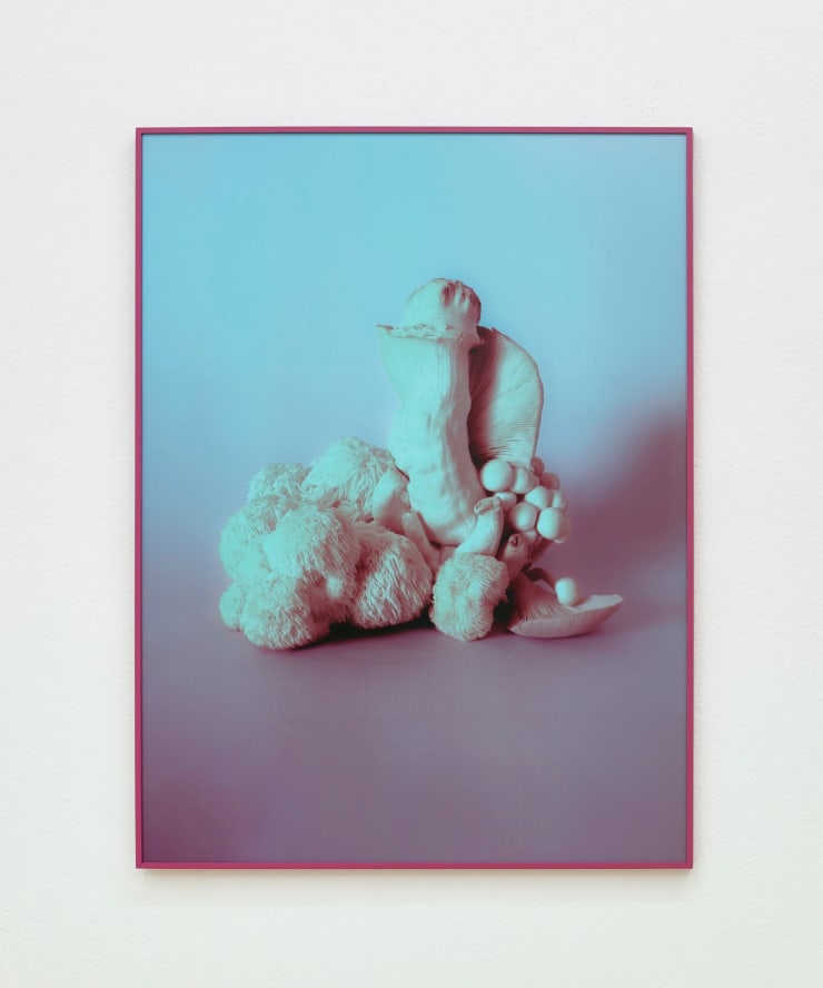 Mia Dudek, Fruiting Body XV, 2023