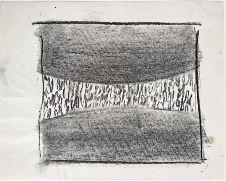 Untitled (plant study)