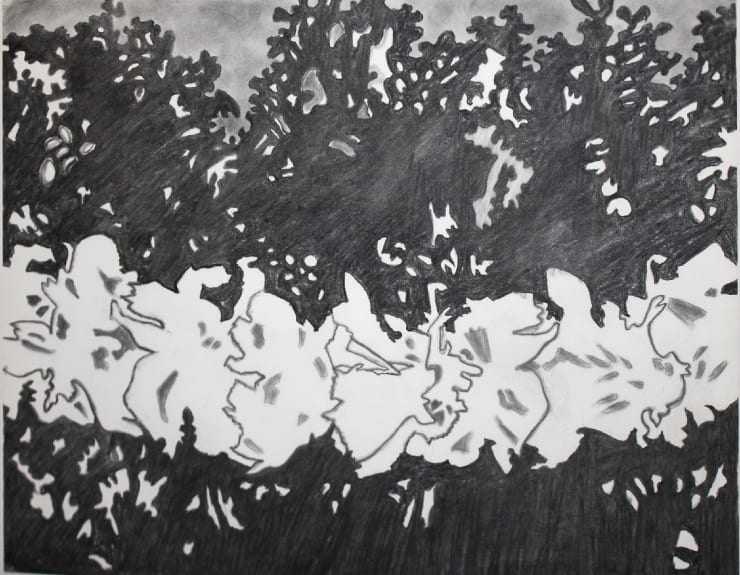 Flowers and Landscape