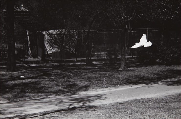 Chicago, 1954 (Unique Set of 7)