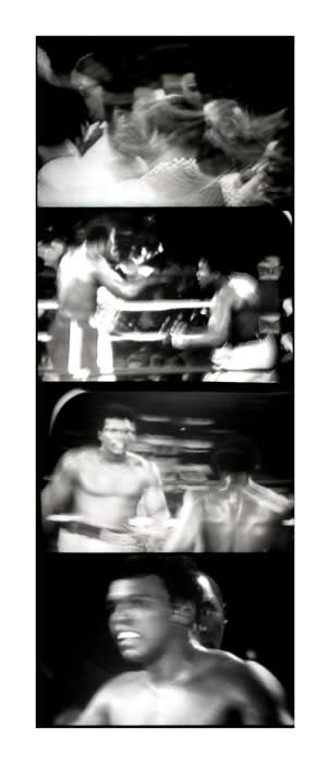 Linda Mccartney The Fight, TV, 1975, 1975 Platinum photograph 60.8 x 22.8 cms 23 14/16 x 8 15/16 ins