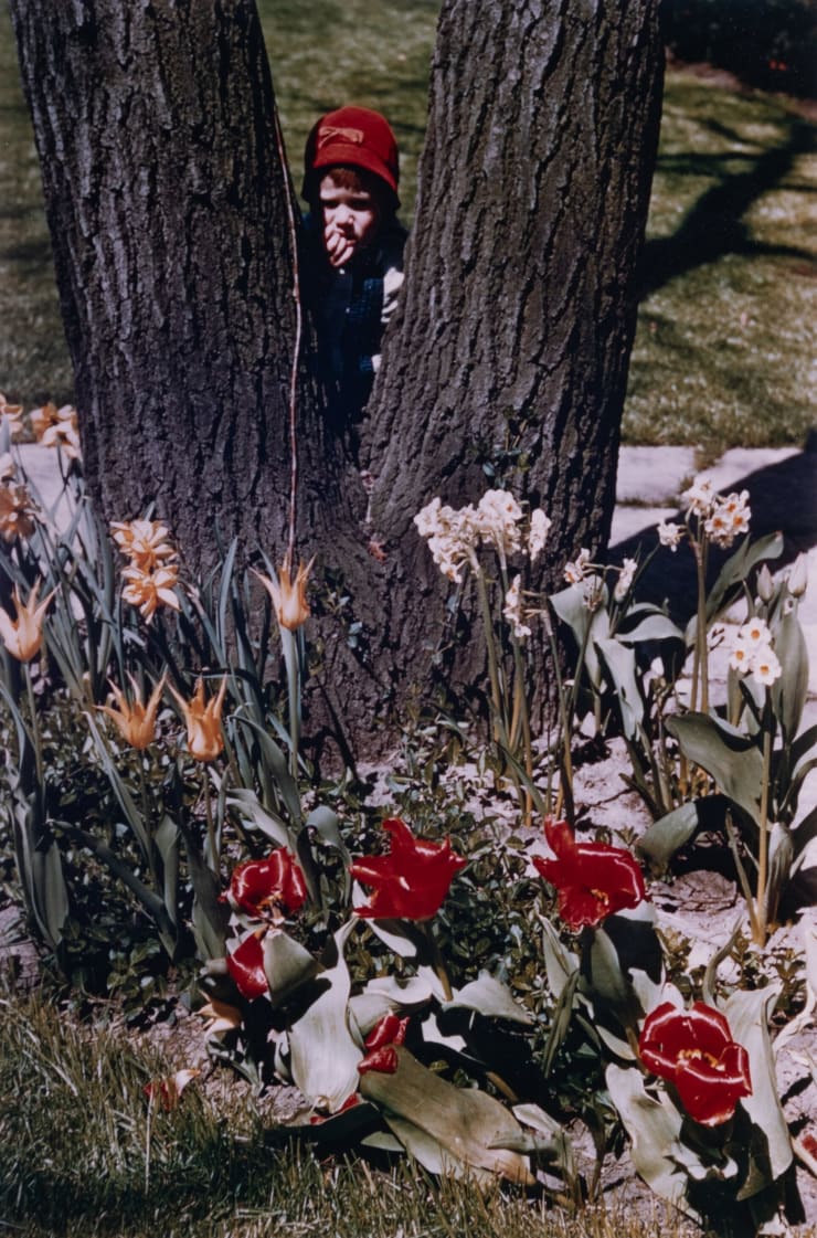 Untitled (Child and flowers)