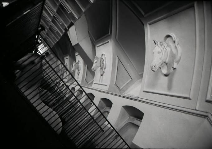 Linda Mccartney Spanish Riding School, Vienna, 1993, 1993 Platinum photograph 42.3 x 60.4 cms 16 10/16 x 23 12/16 ins