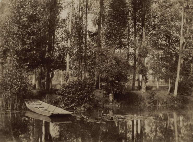 Barque et sous-bois