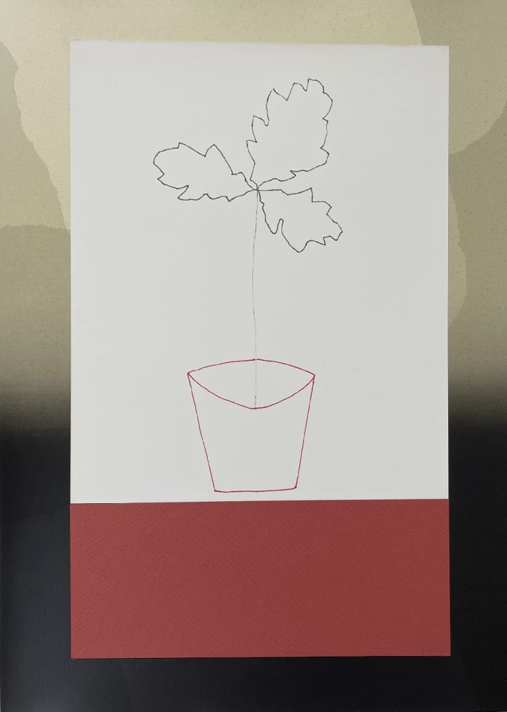 Derrick Greaves, Oak Seedling II, 2020