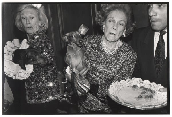 Dafydd Jones, Iris Love..., 1990