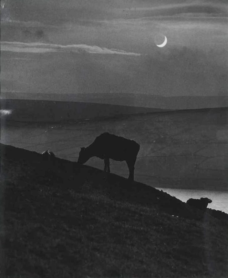 Bill Brandt, Oakworth Moor, Yorkshire, 1944