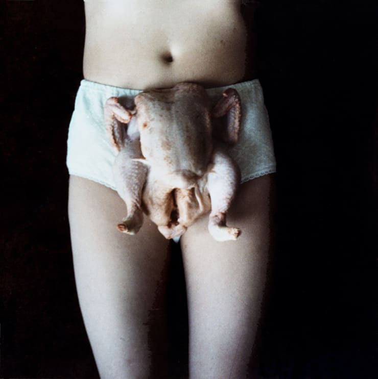 Sarah Lucas, Chicken Knickers, 1997