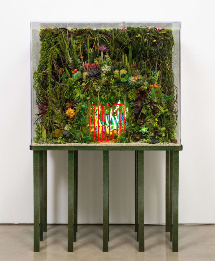 Max Hooper Schneider, The Extinction of Neon, 2015