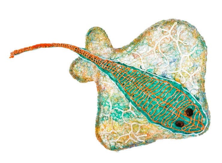 Florence Gutchen Ami, 2022 Ghost Net, rope & twine over a wire frame 67cm x 46cm x 5cm