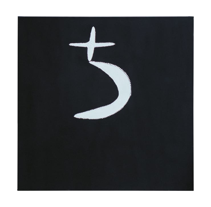 Mabel Juli, Garnkiny Ngarrangkarni (Moon Dreaming), 2019