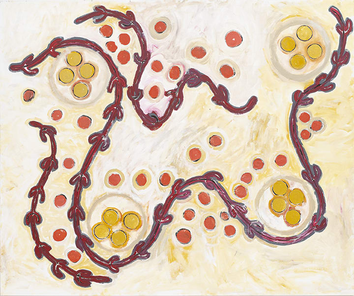 Ursula Napangardi Marks, Bush Potato Dreaming - Yarla Jukurrpa, 2021