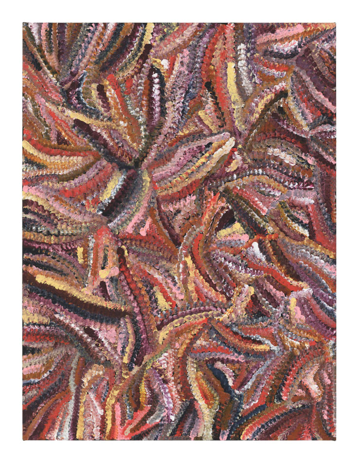 Jedda Kngwarray Purvis Atnwelarr, 2025 Acrylic on linen 102cm x 76cm