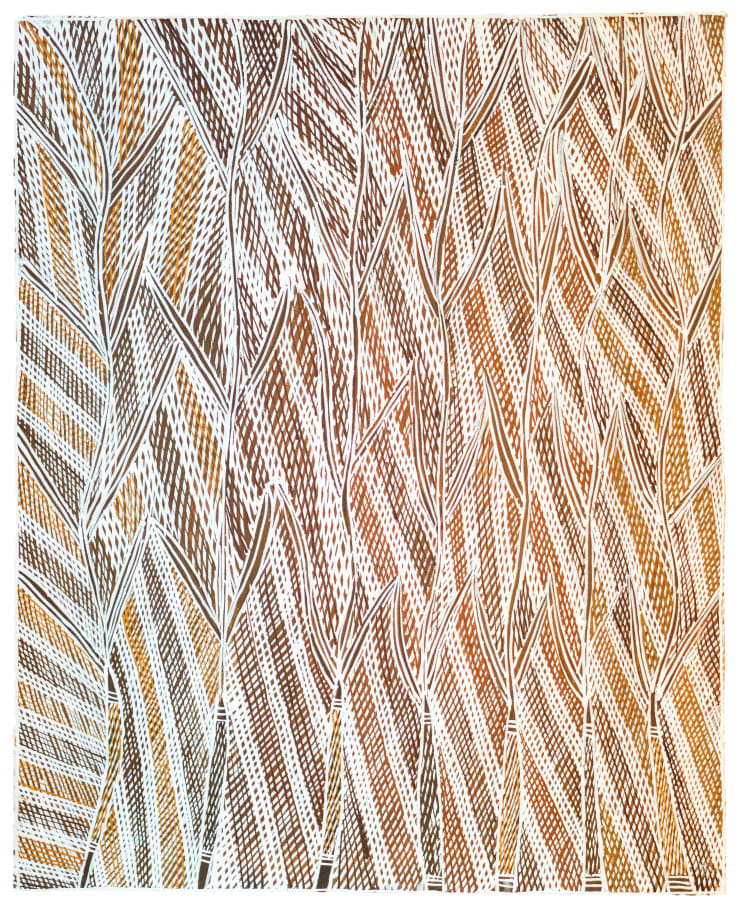 Mulkun Wirrpanda, Nambarra II, 2017