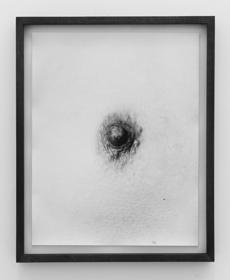 Talia Chetrit, Nipple, 2011