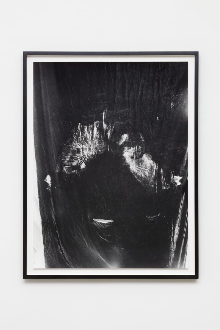 Talia Chetrit, Vagina/Vase (Imprint), 2011