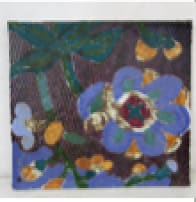 Magdalena Suarez Frimkess, untitled