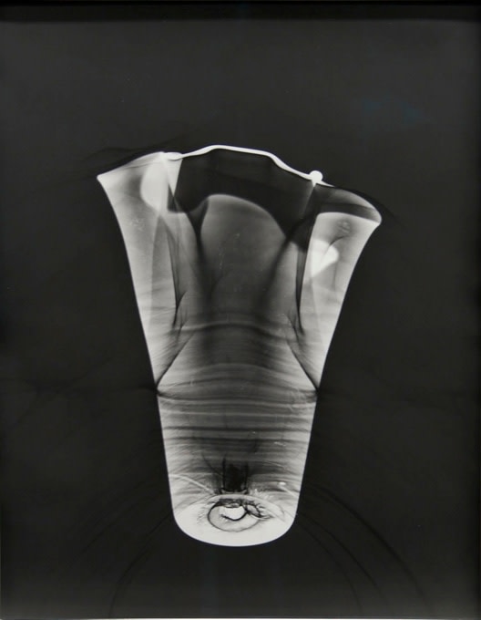 Talia Chetrit, Vasegram, 2010