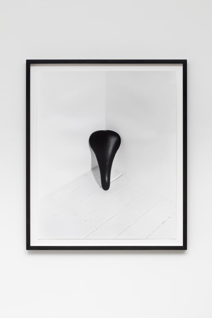 Talia Chetrit, Bike Seat, 2013