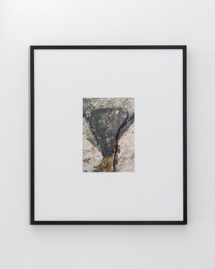 Talia Chetrit, Rock, 2015