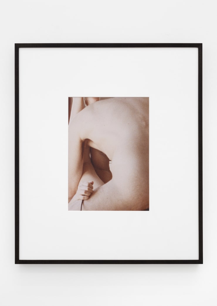 Talia Chetrit, Untitled (Sex #5), 2016