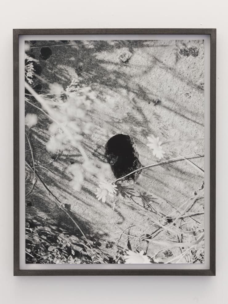 Talia Chetrit, Flowers/Hole, 2011