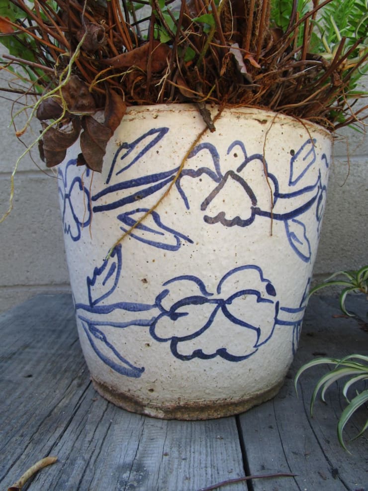 Magdalena Suarez Frimkess, Untitled